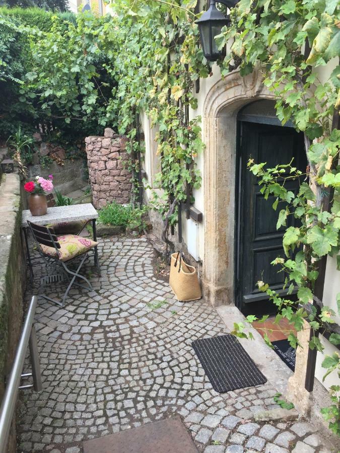 Ferienwohnung Am Weinberg Meissen Exterior photo